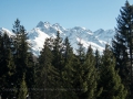 Auf dem Weg zum Sattelkopf 16.03.2017 Allgäu, Bayern, Deutschland, Europa, Frühjahr, Frühling, Hochleite, Lenz, METEOROLOGIE, Oberstdorf, Spring, WETTER