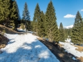 Auf dem Weg zum Sattelkopf 16.03.2017 Allgäu, Bayern, Deutschland, Europa, Frühjahr, Frühling, Hochleite, Lenz, METEOROLOGIE, Oberstdorf, Spring, WETTER