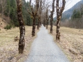 Entlang der Trettach durchs Trettachtal nach Süden 21.03.2017 Allgäu, Bayern, Deutschland, Europa, Frühjahr, Frühling, Lenz, METEOROLOGIE, Oberstdorf, Spring, Trettachtal, WETTER