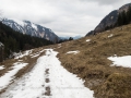 Weg in Richtung Dietersbachalpe 21.03.2017 Allgäu, Bayern, Deutschland, Dietersbachtal, Europa, Frühjahr, Frühling, Lenz, METEOROLOGIE, Oberstdorf, Spring, WETTER