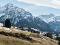Außernebenwasserweg - Auf dem Weg nach Nebenwasser 23.03.2017 Allgäu, Bayern, Deutschland, Europa, Frühjahr, Frühling, Kleinwalsertal, Lenz, METEOROLOGIE, Spring, WETTER