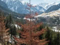 Blick nach Mittelberg 23.03.2017 Allgäu, Bayern, Deutschland, Europa, Frühjahr, Frühling, Kleinwalsertal, Lenz, METEOROLOGIE, Spring, WETTER, Wildenbachtal