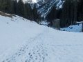 Im Wildenbachtal - Auf dem Weg zur oberern Wiesalpe 23.03.2017 Allgäu, Bayern, Deutschland, Europa, Frühjahr, Frühling, Kleinwalsertal, Lenz, METEOROLOGIE, Spring, WETTER, Wildenbachtal