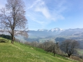 Oberstaufen - Blick auf den Hochgrat 25.03.2017 Allgäu, Bayern, Deutschland, Europa, Frühjahr, Frühling, Lenz, METEOROLOGIE, Oberstaufen, Spring, WETTER