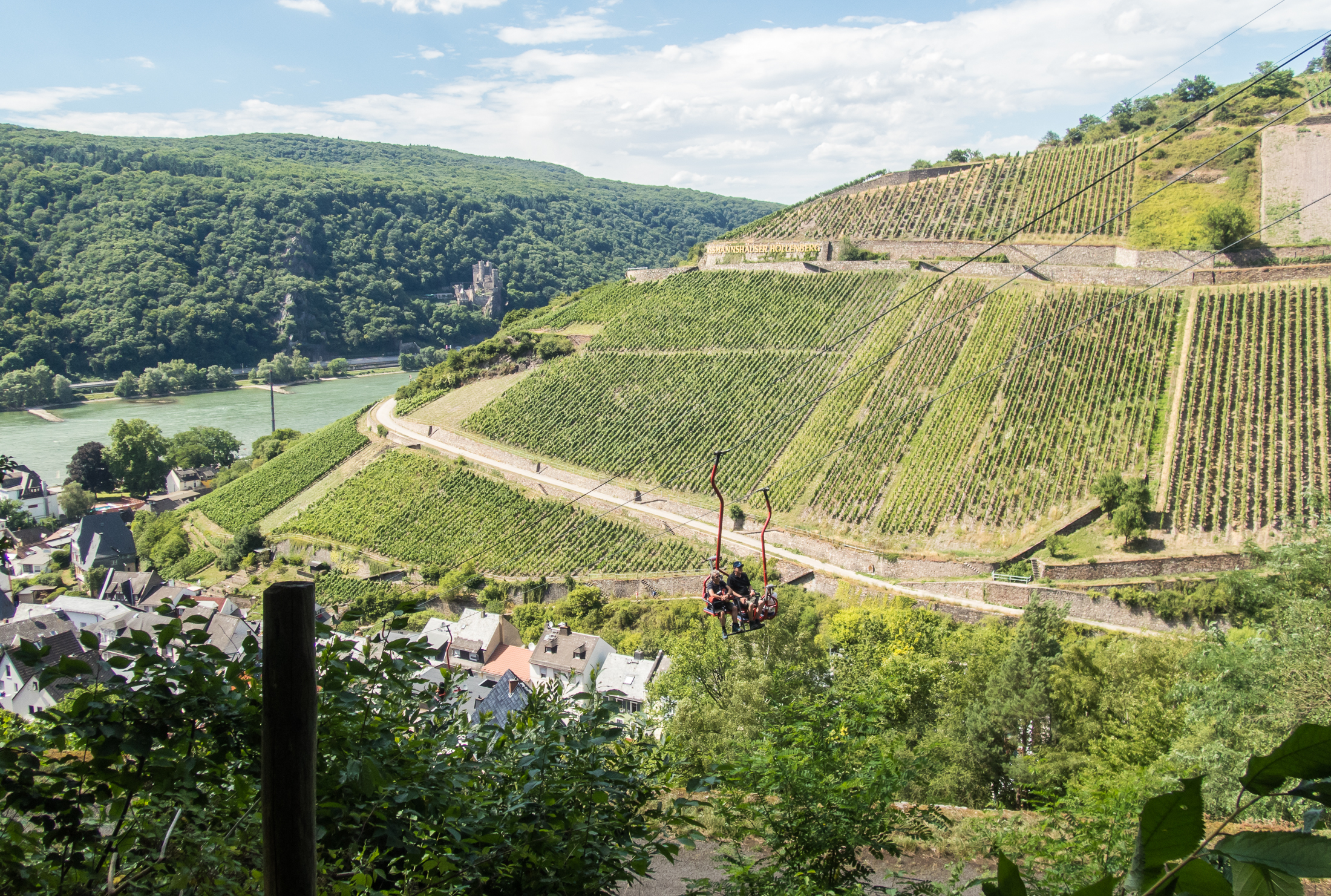 08.07.2017, Am Niederwald: Fußweg zurück zum Jagdschloss