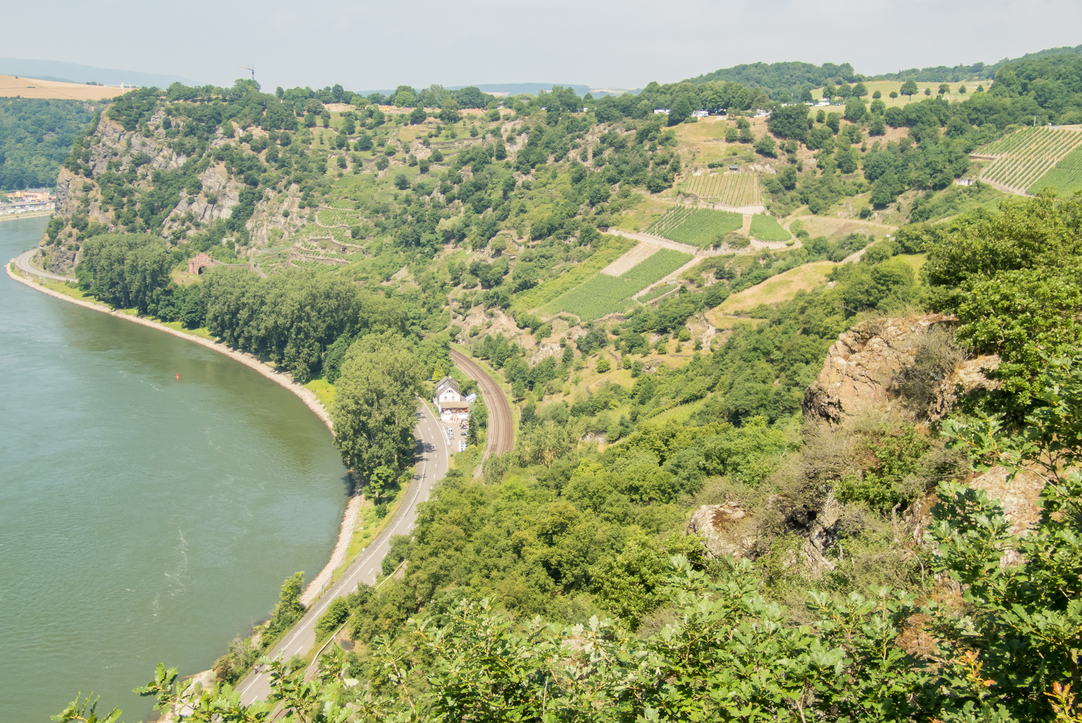 09.07.2017, Am Niederwald: Spaziergang um St. Goarshausen