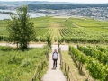 08.07.2017, Am Niederwald: Auf dem Weg nach Rüdesheim am Rhein