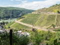 08.07.2017, Am Niederwald: Fußweg zurück zum Jagdschloss