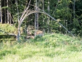 Sturmschäden? 25.08.2017