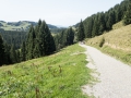 Auf dem Weg zum Hochhäderich 26.08.2017