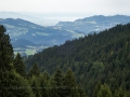 Blick zum Bodensee 26.08.2017