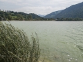 Der Alpsee 27.08.2017
