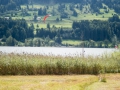 Kaitsurfen am Alpsee 27.08.2017