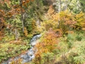 Rundtour Seefeld - Seebachklamm - Lehenwald - Seefeld