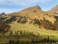Ausflug ins Naturschutzgebiet der Eng-Alm im Karwendel