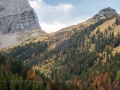 Ausflug ins Naturschutzgebiet der Eng-Alm im Karwendel