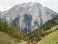 Ausflug ins Naturschutzgebiet der Eng-Alm im Karwendel