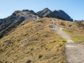 Rundtour Seefeld - Rosshütte - Seefelder Joch - Seefelder Spitze - Rosshütte - Seefeld