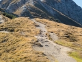 Rundtour Seefeld - Rosshütte - Seefelder Joch - Seefelder Spitze - Rosshütte - Seefeld