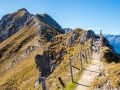 Rundtour Seefeld - Rosshütte - Seefelder Joch - Seefelder Spitze - Rosshütte - Seefeld
