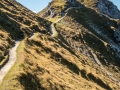 Rundtour Seefeld - Rosshütte - Seefelder Joch - Seefelder Spitze - Rosshütte - Seefeld