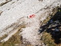 Rundtour Seefeld - Rosshütte - Seefelder Joch - Seefelder Spitze - Rosshütte - Seefeld