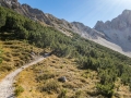 Rundtour Seefeld - Rosshütte - Seefelder Joch - Seefelder Spitze - Rosshütte - Seefeld