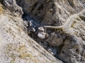 Rundtour Seefeld - Rosshütte - Seefelder Joch - Seefelder Spitze - Rosshütte - Seefeld