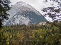 Rundweg Seefeld - Wildmoosalm - Mosern - Seefeld