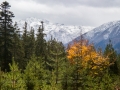 Rundweg Seefeld - Wildmoosalm - Mosern - Seefeld