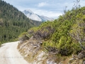 Rundweg Scharnitz - Eppzirler Alm - Oberbrunnalm - Scharnitz
