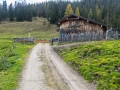 Rundweg Scharnitz - Eppzirler Alm - Oberbrunnalm - Scharnitz