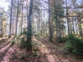 Wanderung zur Pleisenhütte