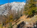 Wanderung zur Pleisenhütte