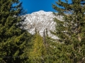 Wanderung zur Pleisenhütte