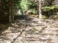 Wanderung zur Rauthhütte
