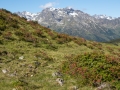 Auf dem Weg zur Neuen Heilbronner Hütte