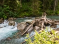 In der Rosannaschlucht