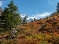 Auf dem Tufterer Höhenweg