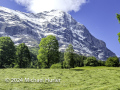 Von Grindelwald hinauf nach Alpiglen