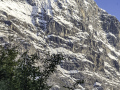 Blick nach oben