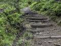 Von der Bussalp nach Waldspitz