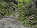 Von der Bussalp nach Waldspitz