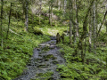 Von der Gletscherschlucht hinauf nach Bonera