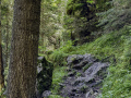 Von der Gletscherschlucht hinauf nach Bonera