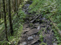 Von der Gletscherschlucht hinauf nach Bonera
