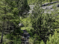 Von der Gletscherschlucht hinauf nach Bonera