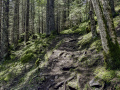 Von der Gletscherschlucht hinauf nach Bonera
