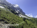 Von Bonera nach Alpiglen
