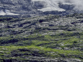 Von Bonera nach Alpiglen